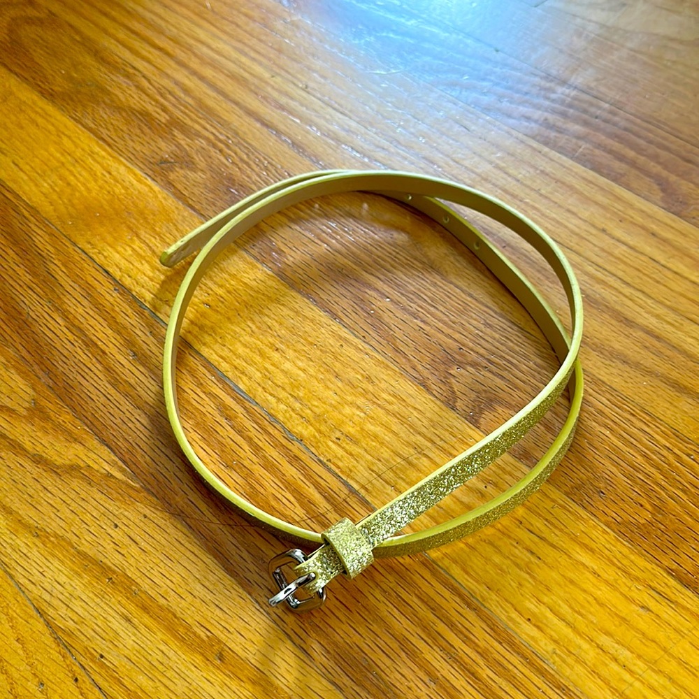 Banana Republic sparkly belt